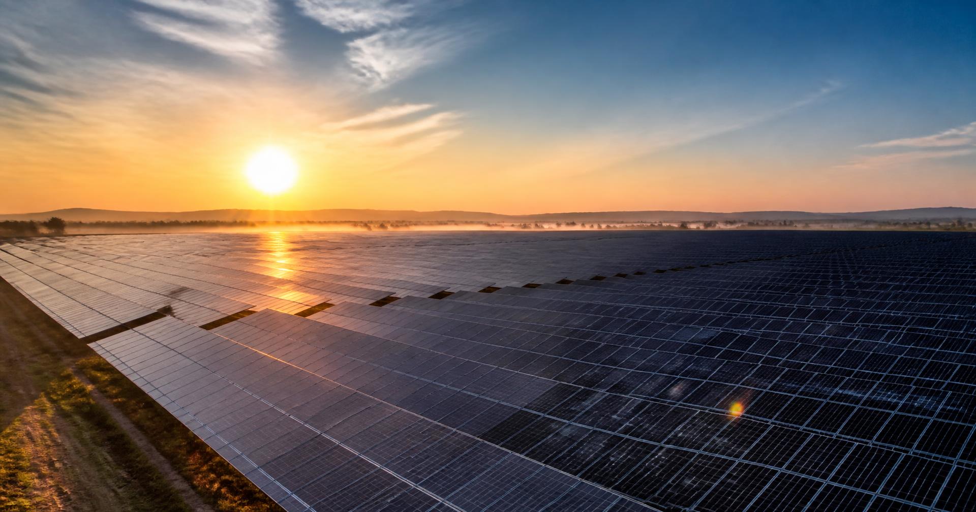 Solar panels stretching toward the horizon at sunrise
